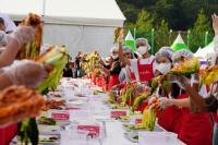 [NSP PHOTO]해남미남축제, 10월의 마지막 날 화려하게 울려펴진다