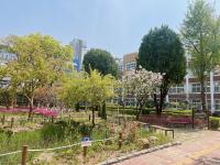 [NSP PHOTO]대구시, 2년 연속 학교숲 조성분야 수상 쾌거