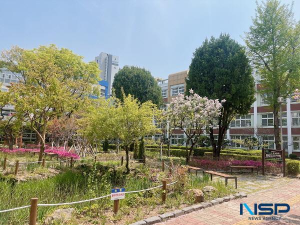 NSP통신-대구광역시가 지난해 수성구 황금초등학교에 이어 올해도 학교숲 조성 분야 최우수상을 수상하며 2년 연속 전국 학교숲 조성 우수사업지로 선정되는 영예를 안았다. 경북여고 학교숲 모습 (사진 = 대구광역시)