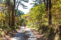 [NSP PHOTO]광양시, 걷는 순간 여행이 되는 광양백운산 둘레길