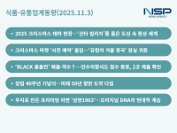 [NSP PHOTO][식품·유통업계동향]현대·롯데, 미리 크리스마스…홈플 생존 시그널 교원·삼양 장수의 힘