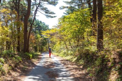 [NSP PHOTO]광양시 걷는 순간 여행이 되는 광양백운산 둘레길