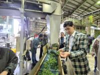 [NSP PHOTO]보성군, 일본 시즈오카 벤치마킹…K-TEA 보성말차 세계로 향한다