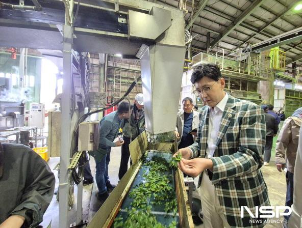 NSP통신-김철우 보성군수가 시즈오카현립 차업연구센터에서 스마트 가공·품질 관리 시스템을 확인하고 있다 (사진 = 보성군)