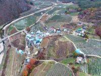 [NSP PHOTO]청송군, 과실전문생산단지 기반조성사업 국비 16억 확보