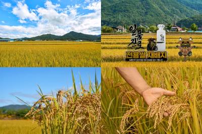 [NSP PHOTO]하이트진로, 일품진로쌀로 정체성과 상생 드라이브