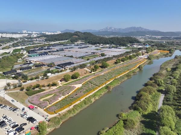 NSP통신-코스모스 축제가 열리는 창릉천 강매석교 일원 (사진 = 고양시)