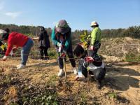 [NSP PHOTO]울산사회복지협의회, 안동 힐링여행 중 묘목심기 봉사활동 진행