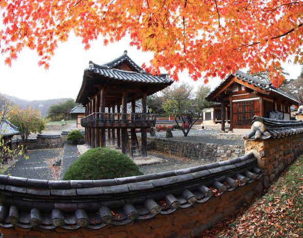 NSP통신-자연과 사람 마음을 잇는 자리 우리가 사랑하는 안동 묵계1리에서 운영 (사진 = 안동시)