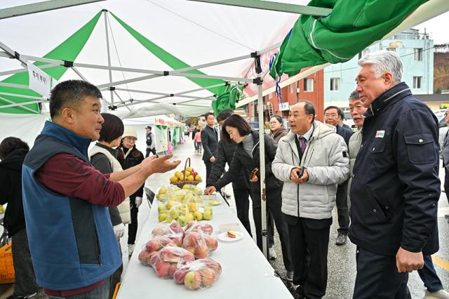 NSP통신-정선군 사과축제 모습. (사진 = 정선군)