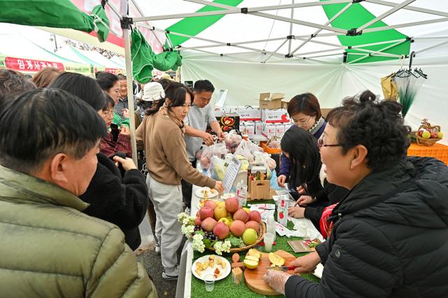 NSP통신-정선군 사과축제 모습.(사진=정선군) (사진 = 정선군)