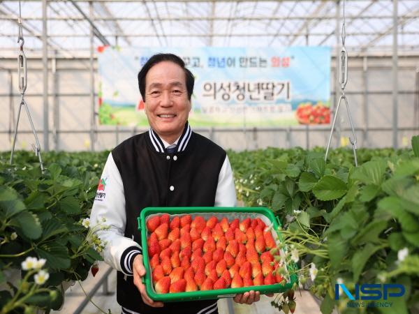 NSP통신-의성군은 2025년 시군 농정평가 대상 수상의 영예는 물론 12년 연속 수상과 함께 역대 최다 5회째 대상이라는 쾌거를 달성했다. (사진 = 의성군)