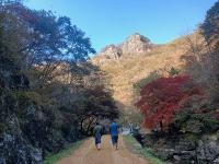 [NSP PHOTO]담양군, 가마골생태공원에 단풍길 따라 걷기 좋은 흙길 산책로 조성