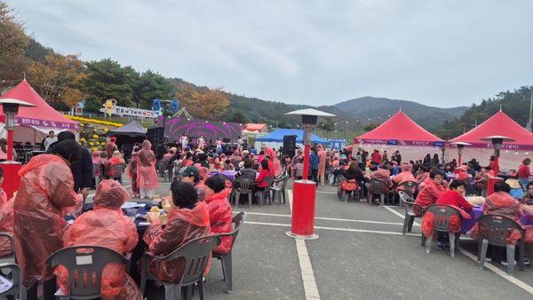 NSP통신- (사진 = 진도군)