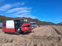 [NSP PHOTO]진안군, 첨단 콤바인 도입으로 논콩 수확 효율 쑥