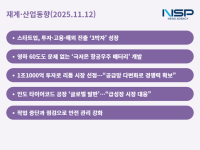 [NSP PHOTO][재계·산업동향]LG엔솔·포스코홀딩스, 배터리·리튬 투자로 미래 성장 속도