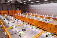 [NSP PHOTO]안동시, 경북산업용헴프 규제자유특구 내 CBD 원료의약품 생산시설 구축 지원