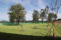 [NSP PHOTO]안동시 파크골프장, 시민 건강 증진과 세대 간 소통의 장으로 자리매김