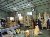 [NSP PHOTO]구례군, 콩 선별장 무상 운영