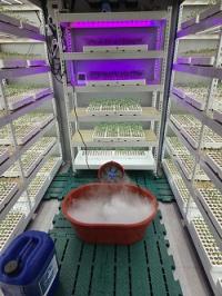 [NSP PHOTO]진안군, 원예특작 맞춤형 신기술보급 공모사업 선정