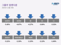 [NSP PHOTO][업앤다운]그룹주 하락…POSCO홀딩스·삼성전자↓