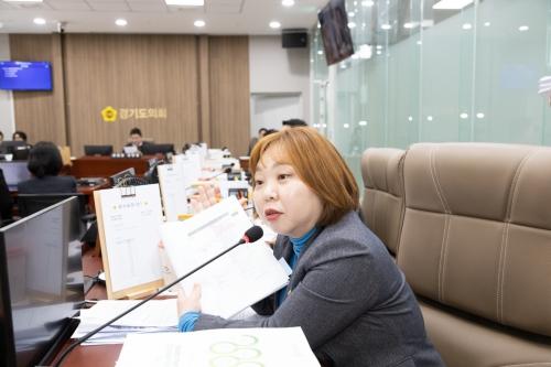 NSP통신-질의하는 전자영 경기도의원. (사진 = 용인특례시의회)