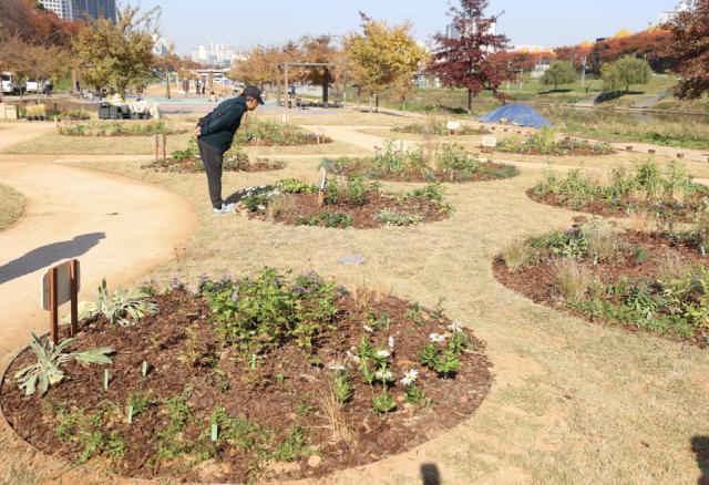 NSP통신-시민이 직접 설계·조성한 안양천 시민참여정원. (사진 = 광명시)