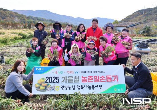 NSP통신-생강 농가 일손돕기 봉사활동 (사진 = 광양농협)