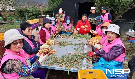 NSP통신-생강 농가 일손돕기 봉사활동 (사진 = 광양농협)