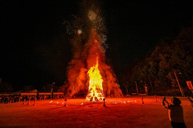 NSP통신-정선군 민둥산 억세 축제 모습. (사진 = 정선군)