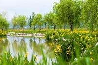 [NSP PHOTO]강릉시 향호정원, 세 번째 도전 끝에 지방정원 공모 선정