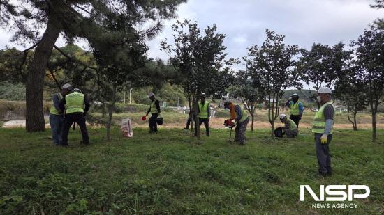 NSP통신-영양분 보충과 토양환경 개선 작업 (사진 = 광양시청)