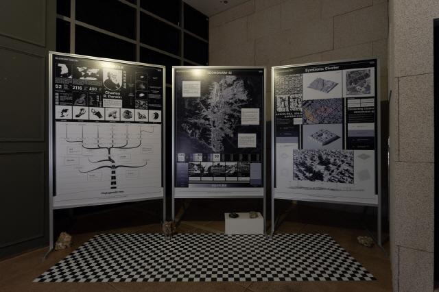 NSP통신-성남아트센터 큐브플라자 1층 전시공간에서 진행되고 있는 지역작가 이중민과 송효근의 인터랙티브 키네틱아트 전시 작품 향일군락 (Heliotropic Dwelling). (사진 = 성남문화재단)