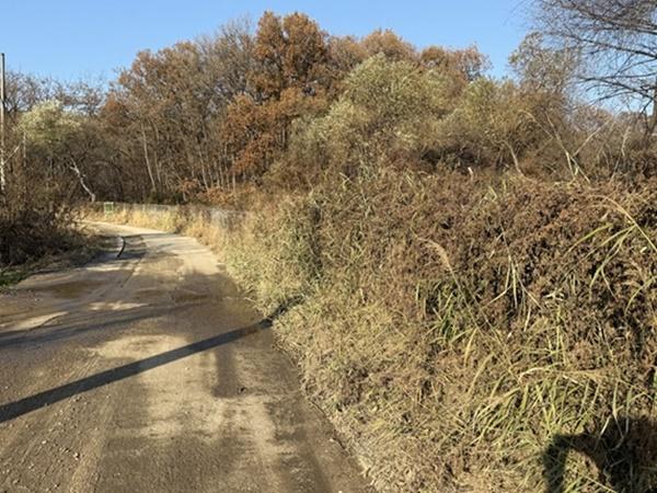 NSP통신-군내면 백연리 일원 모습 (사진 = 파주시)