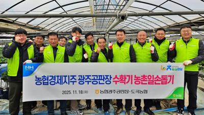 [NSP PHOTO]농협경제지주 광주공판장  딸기재배 농가 찾아 일손돕기 봉사활동 전개