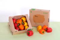 [NSP PHOTO]강진군,  온라인 도매시장 특화상품 지원사업 강진 파프리카 선정