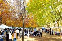 [NSP PHOTO]담양군, 소소한 공생 어울림장터 운영 성료