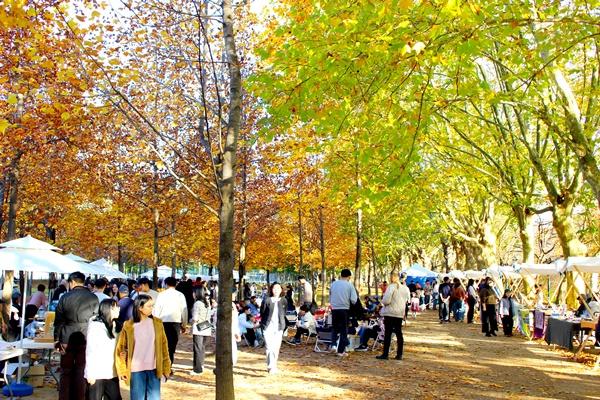 NSP통신- (사진 = 담양군)