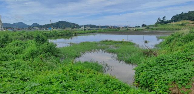 NSP통신-신안군 도서지역 전경 기사와 무관 (사진 = 윤시현 기자)