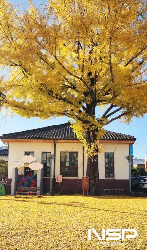 NSP통신-광양역사문화관 황금빛 은행나무 (사진 = 광양시청)