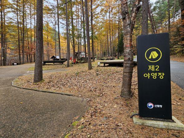 NSP통신-국립청옥산자연휴양림은 해발 700m 이상의 청옥산 자락에 자리 잡은 자연휴양 명소로 울창한 잣나무와 낙엽송이 조화를 이루며 사계절 힐링 공간을 제공한다. (사진 = 봉화군)
