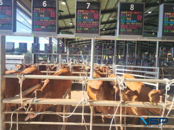 NSP통신- (사진 = 해남군)