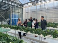 [NSP PHOTO]봉화군, 임대형스마트팜 입주 앞두고 실습교육 박차