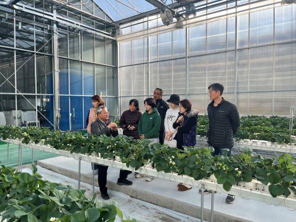 NSP통신-봉화군 임대형스마트팜 입주 앞두고 마지막 담금질 박차, 스마트온실 테스트베드와 경영실습농장에서 토마토, 딸기 실습교육 (사진 = 봉화군)