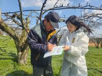 [NSP PHOTO]나주시, 과수화상병 방제 약제 사전신청 안내