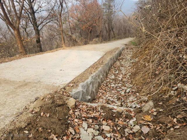 NSP통신-모현읍 왕산리 태교숲길 정비 완료 후 전경. (사진 = 용인특례시)