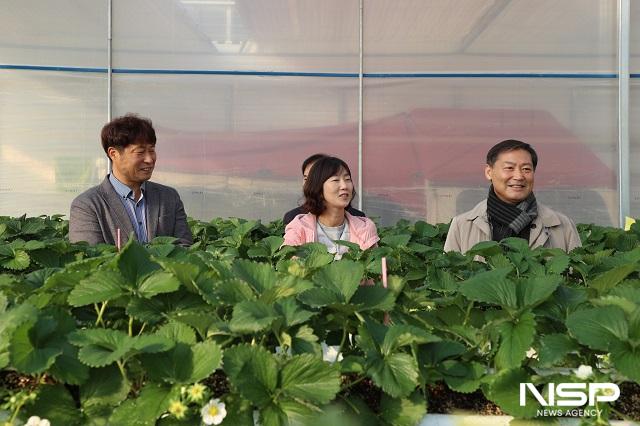 NSP통신- (사진 = 진안군)