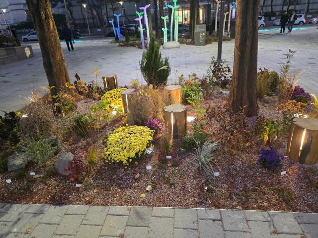 NSP통신-특화 정원을 새롭게 조성한 서현역 공공공간의 모습. (사진 = 성남시)