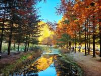 [NSP PHOTO]안동시, 내달 1일부터 낙강물길공원 출입 한시적 차단