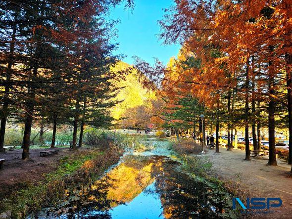 NSP통신-안동 낙강물길공원 한시적 차단 안내, 안동댐 안전성강화사업 건설공사 시행에 따른 한시적 차단 (사진 = 김오현기자)